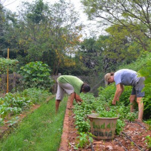 Organic Farming Auroville