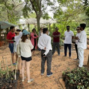 Auroville Botanical Garden, Pondicherry
